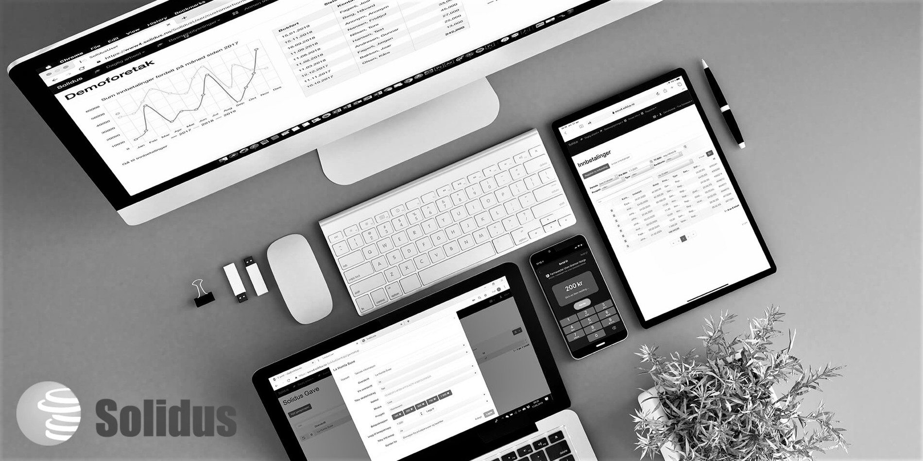 Vippsimport med adressevask, alt i Solidus CRM 